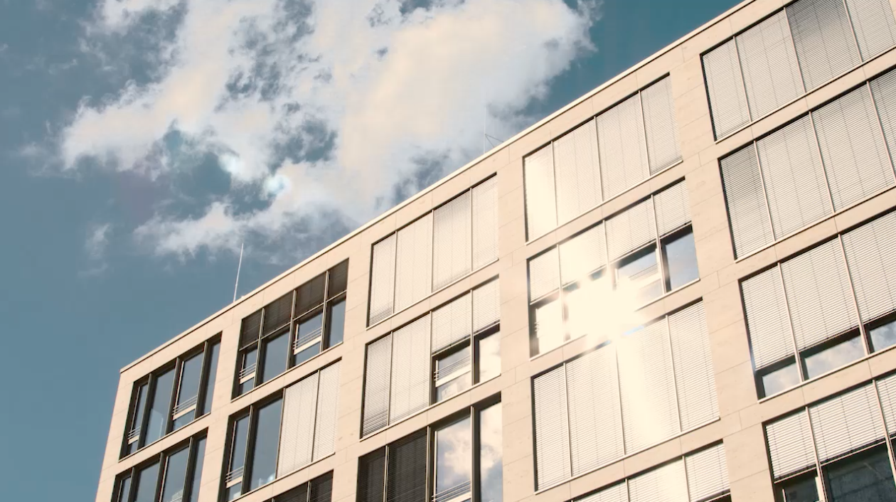 Video Corporate Zalando Video Corporate Zalando