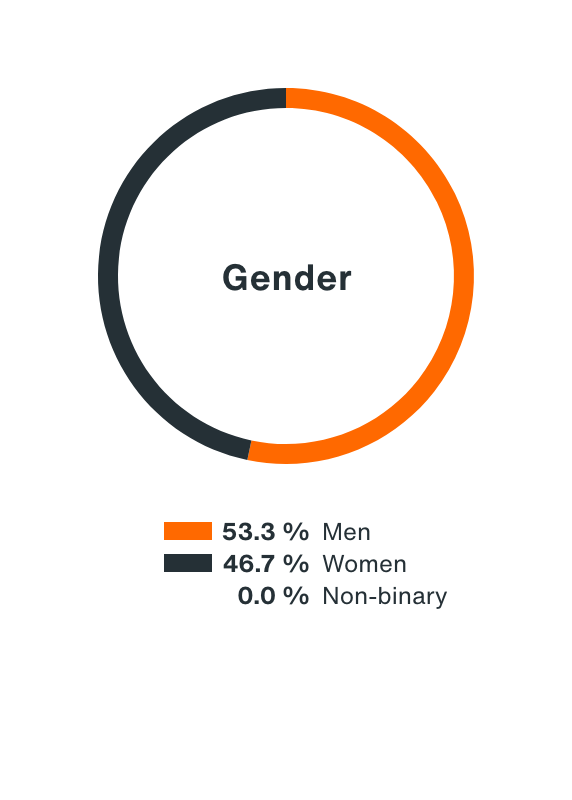 Pie chart shows the breakdown of the workforce by gender: Men: 53.3%,  Women: 46.7%, Non binary: 0.0%