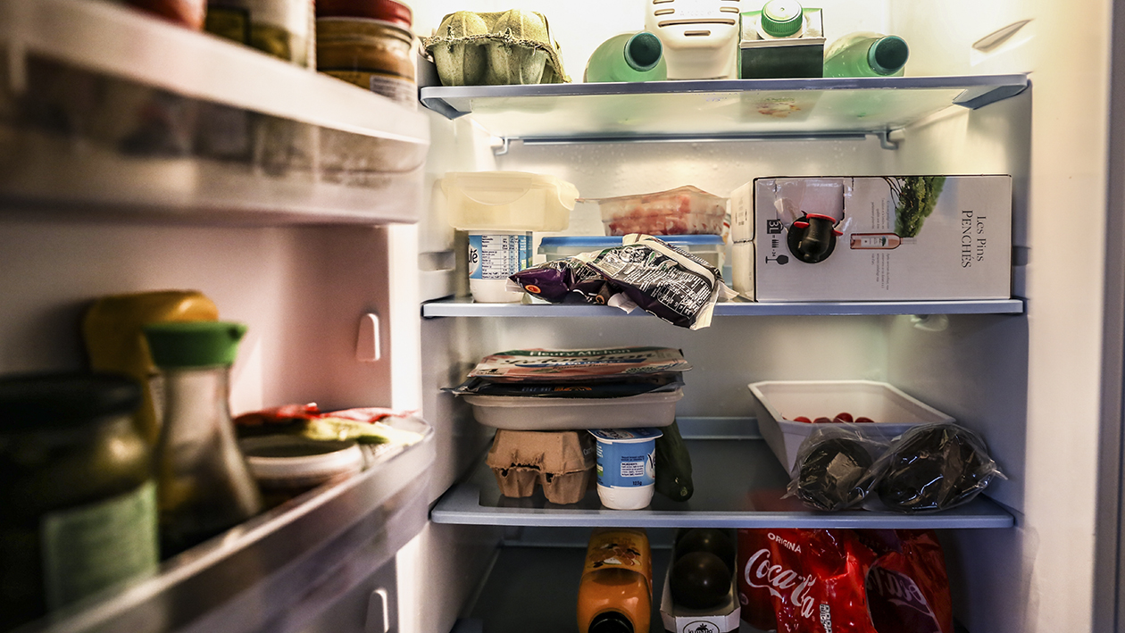 fridge fridge