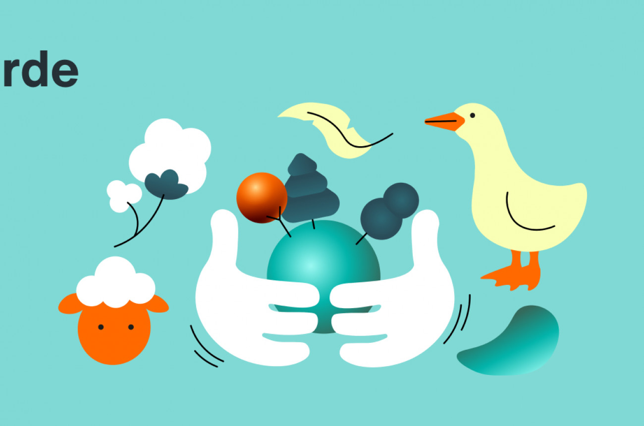 Zalando SE Fortschrittsbericht zu Nachhaltigkeit 2020