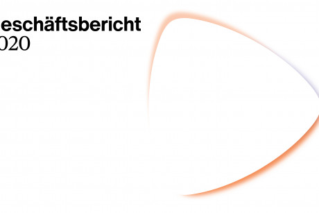 Geschäftsbericht 2020 Geschäftsbericht 2020